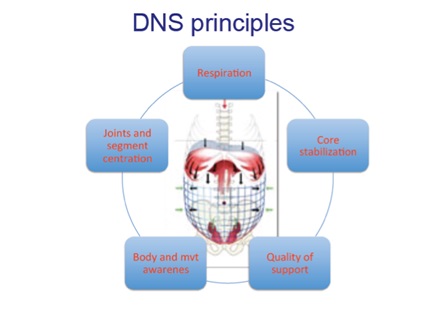 principi del DNS